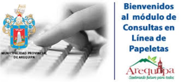 Papeletas en linea Arequipa